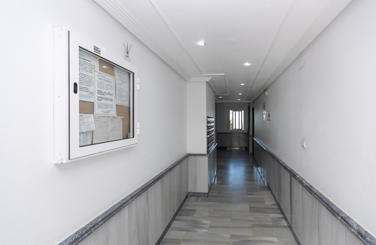 Rynek wtórny - Apartament - La Zenia - Beachside