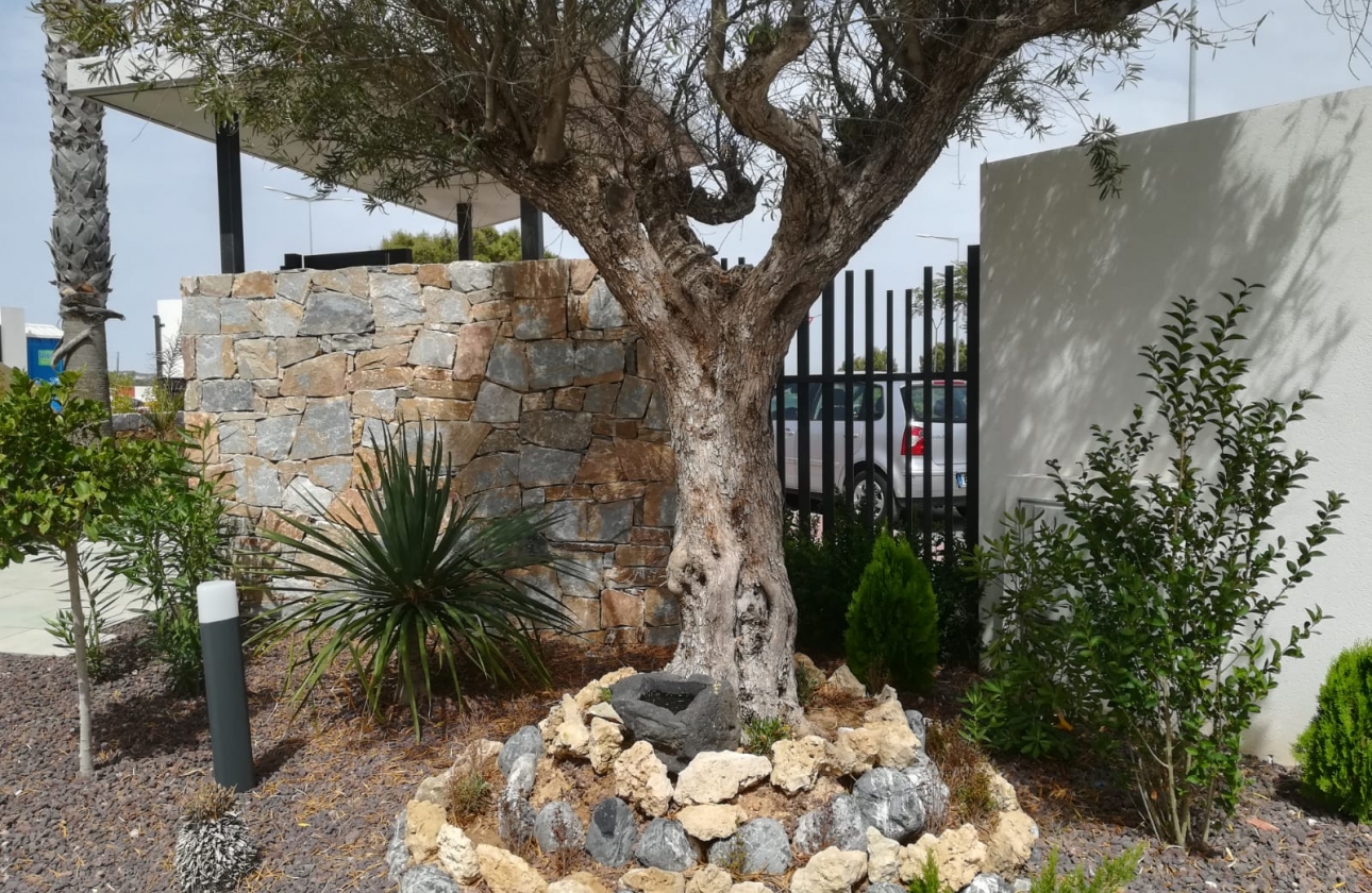 Obra nueva - Bungalow - Torrevieja