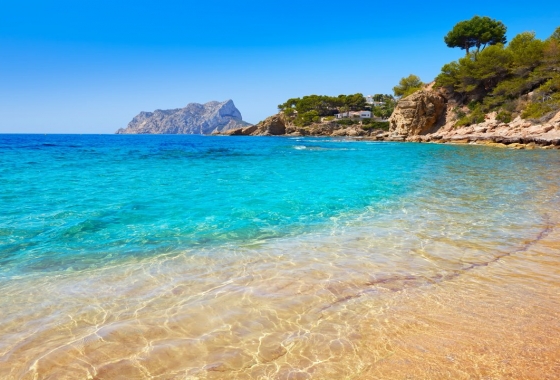 Rynek pierwotny - Apartament - Algorfa