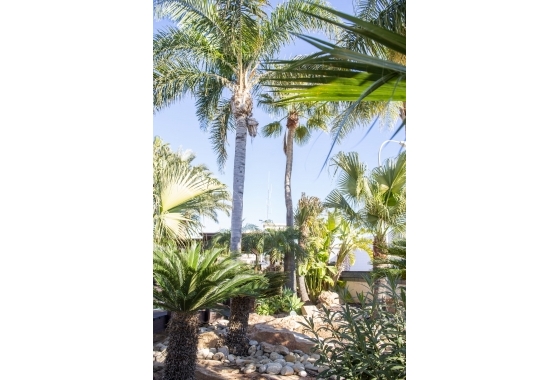 Rynek pierwotny - Villa - Pilar de la Horadada - San Pedro del Pinatar