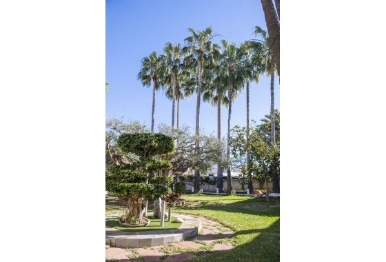 Rynek pierwotny - Villa - Pilar de la Horadada - San Pedro del Pinatar