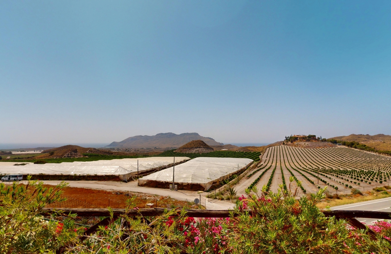 New Build - Detached - Aguilas