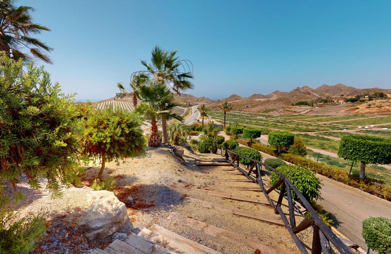 New Build - Detached - Aguilas