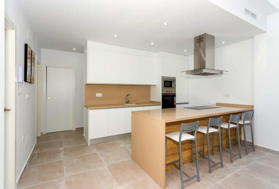 Obra nueva - Detached - Daya Nueva