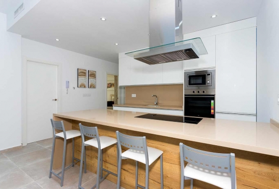 Obra nueva - Detached - Daya Nueva