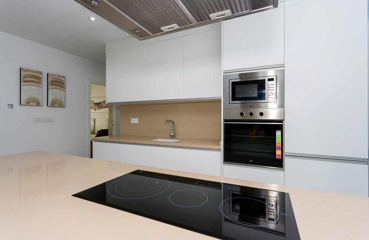 Obra nueva - Detached - Daya Nueva