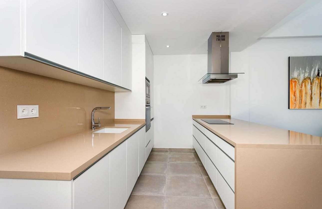 Obra nueva - Detached - Daya Nueva