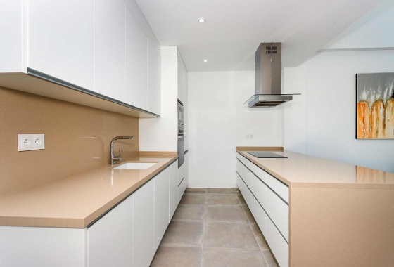 Obra nueva - Detached - Daya Nueva