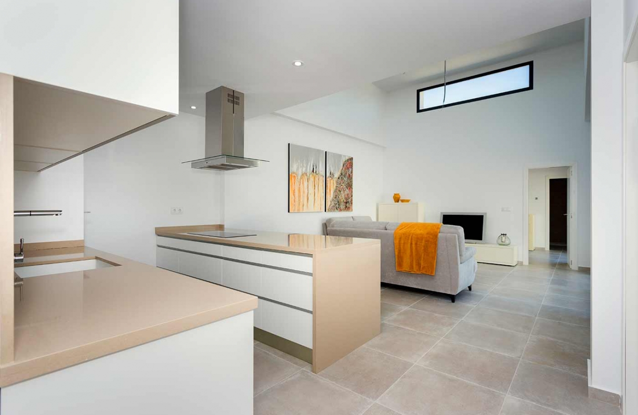 Obra nueva - Detached - Daya Nueva