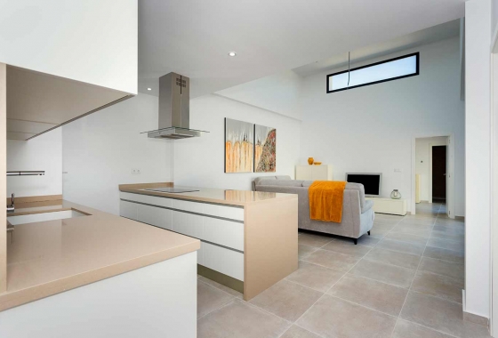 Obra nueva - Detached - Daya Nueva