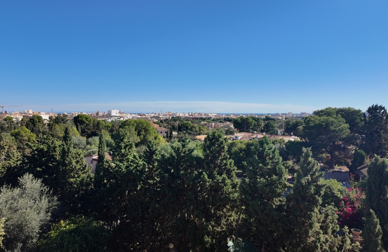 Rynek wtórny - Bungalow - San Juan de Alicante - Lloixa