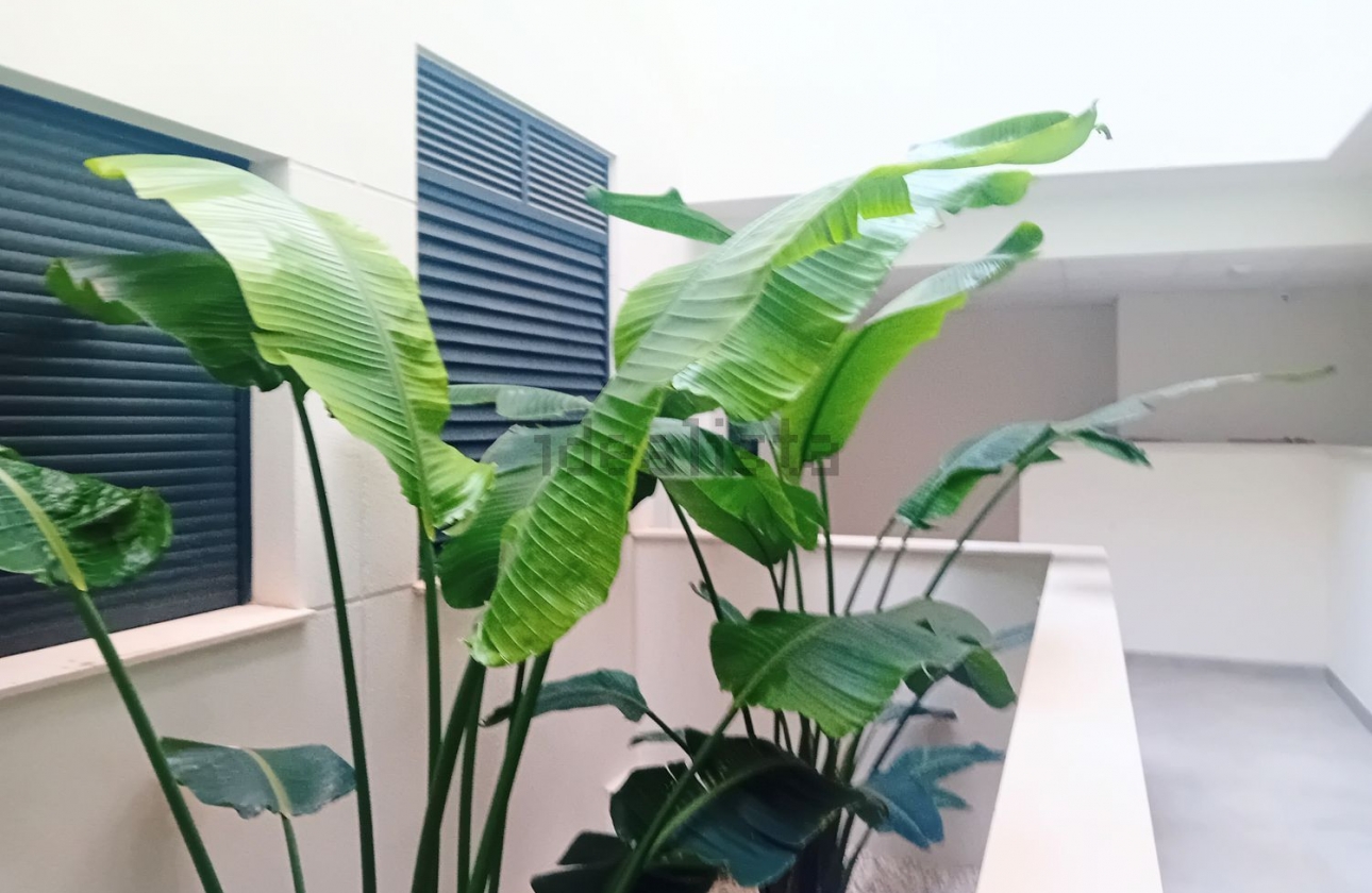 Rynek wtórny - Dupleks - Santa Pola - Gran Alacant