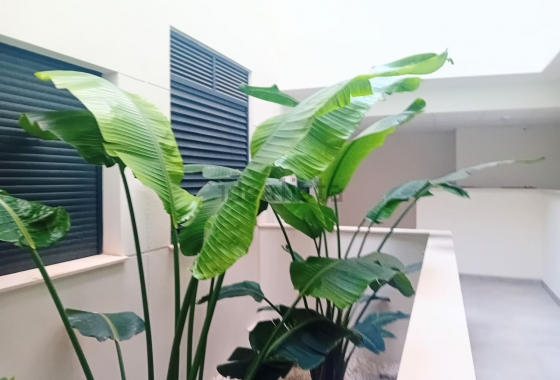 Rynek wtórny - Dupleks - Santa Pola - Gran Alacant