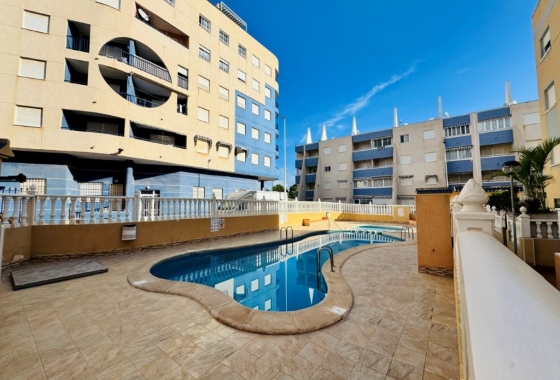 Rynek wtórny - Apartament - Torrevieja - Torrevista Playa