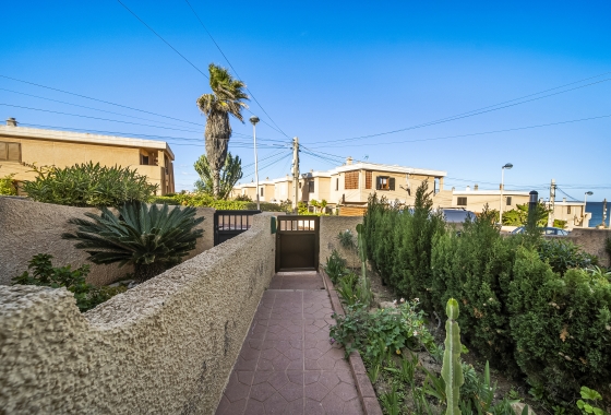 Rynek wtórny - Apartament - Torrevieja - Cabo cervera