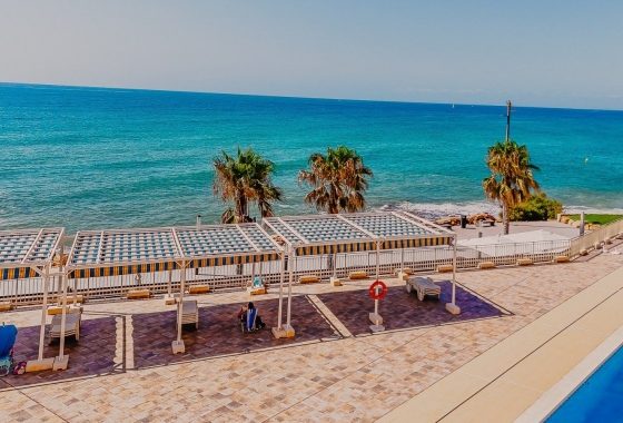 Rynek wtórny - Apartament - Torrevieja - Playa del Cura