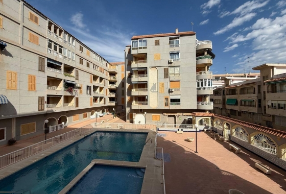 Resale - Apartment - Torrevieja - Acequion