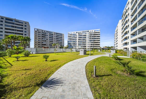 Rynek wtórny - Apartament - Torrevieja - Punta Prima