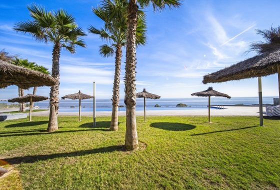 Rynek wtórny - Apartament - Torrevieja - Punta Prima