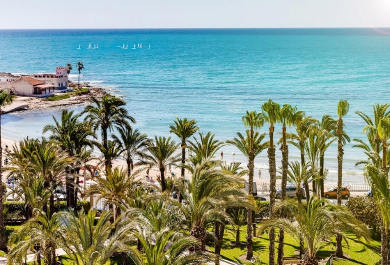 Rynek wtórny - Szeregowiec - Torrevieja - Los Angeles