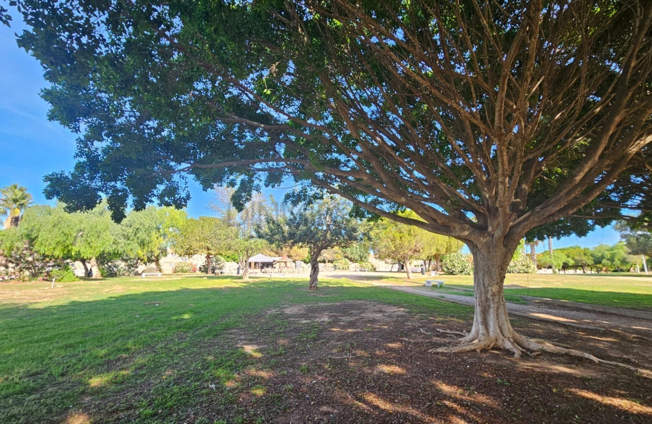 Rynek wtórny - Dupleks - Torrevieja - Aguas Nuevas