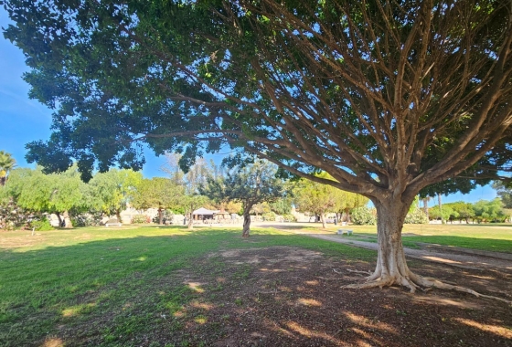 Rynek wtórny - Dupleks - Torrevieja - Aguas Nuevas