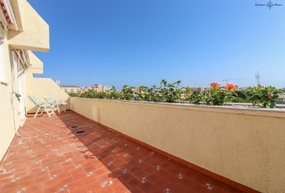 Resale - Apartment - Punta Prima - Beachside