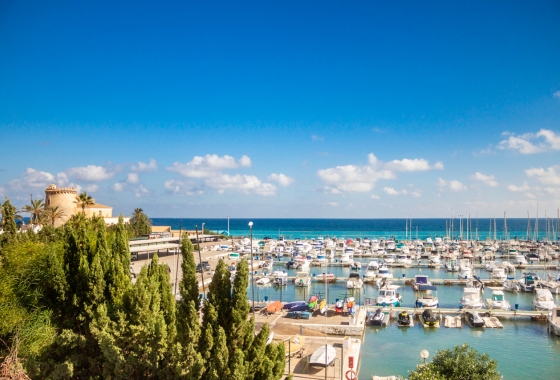 Rynek wtórny - Penthouse - Pilar de la Horadada - Lo Romero Golf