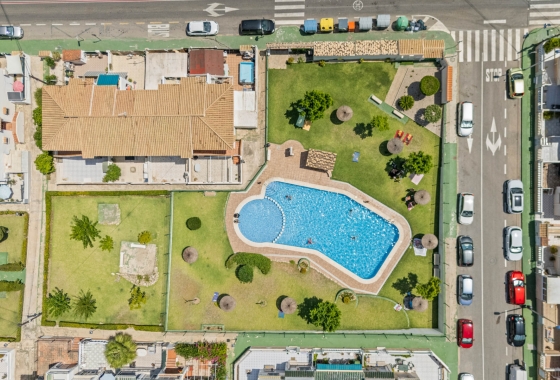 Rynek wtórny - Bungalow - Torrevieja - Lago Jardin