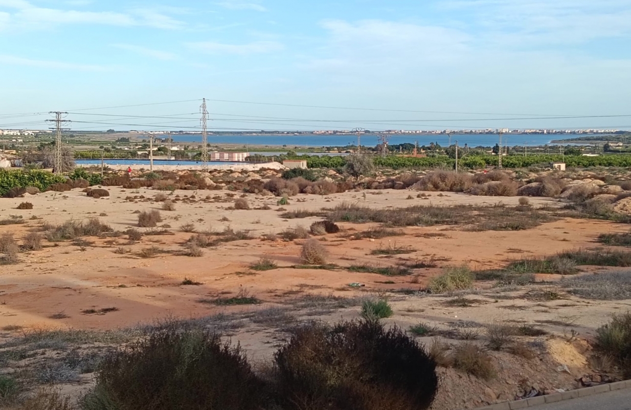 Rynek wtórny - House - Detached Villa (4) - Los Montesinos - La Herrada