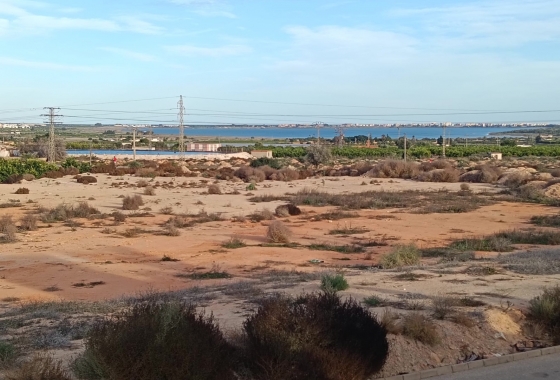 Rynek wtórny - House - Detached Villa (4) - Los Montesinos - La Herrada