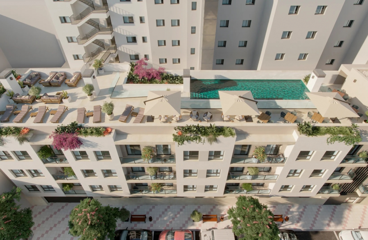 Obra nueva - Apartment - Málaga - Malaga