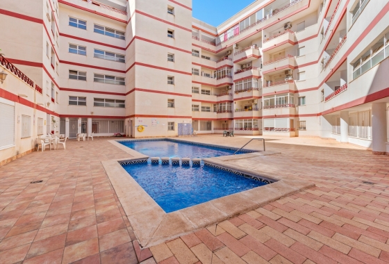 Rynek wtórny - Apartament - Torrevieja - Parque las naciones