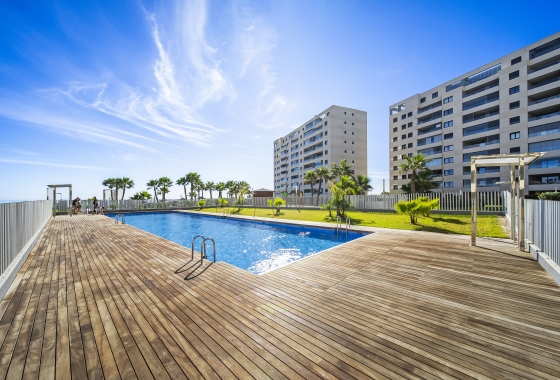 Rynek wtórny - Apartament - Torrevieja - Punta Prima