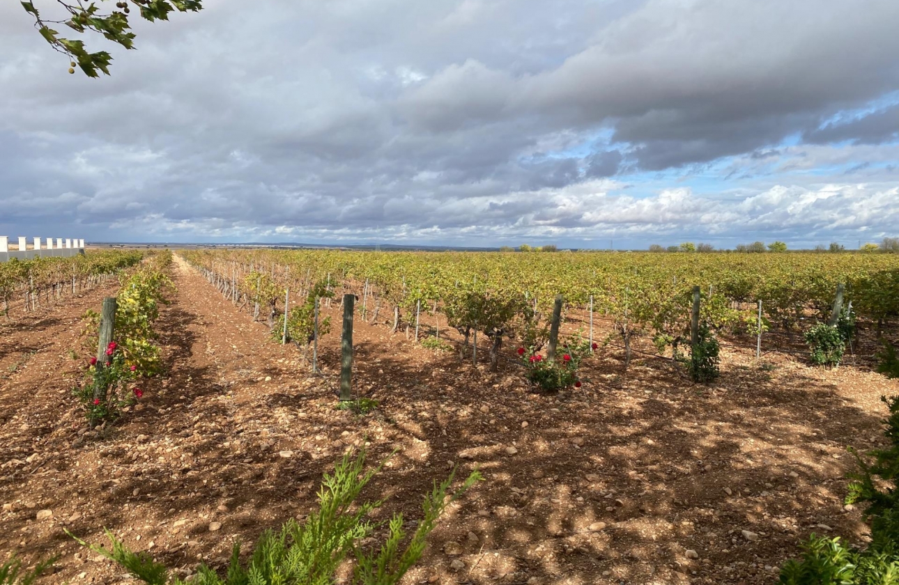 Reventa - Cellar - Albacete