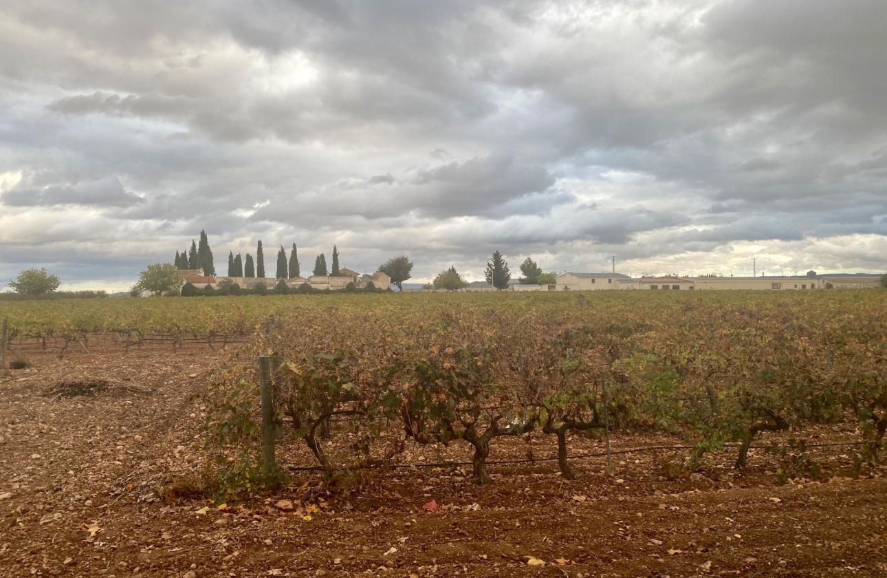 Reventa - Cellar - Albacete