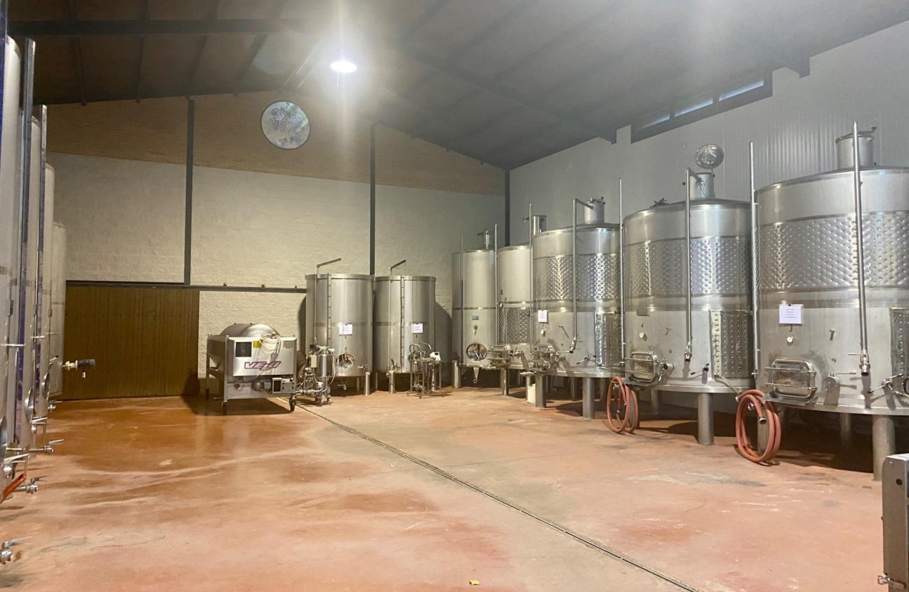 Reventa - Cellar - Albacete