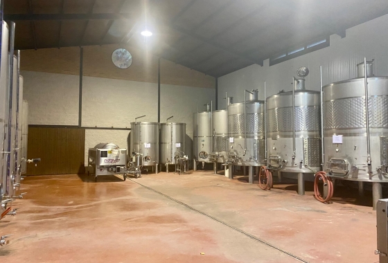 Reventa - Cellar - Albacete