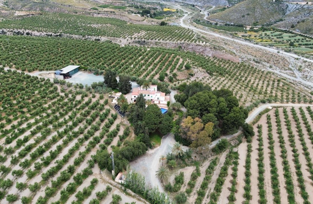Reventa - Country House - Murcia - Rincón de Seca