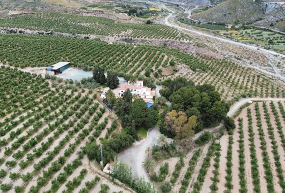 Reventa - Country House - Murcia - Rincón de Seca