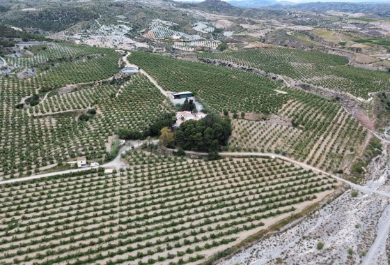 Reventa - Country House - Murcia - Rincón de Seca