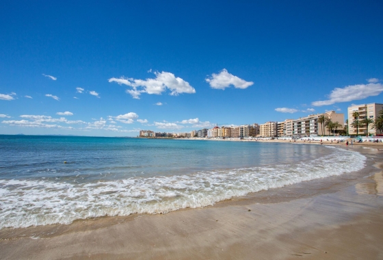 Rynek wtórny - Apartament - Torrevieja - Centro - Muelle Pesquero