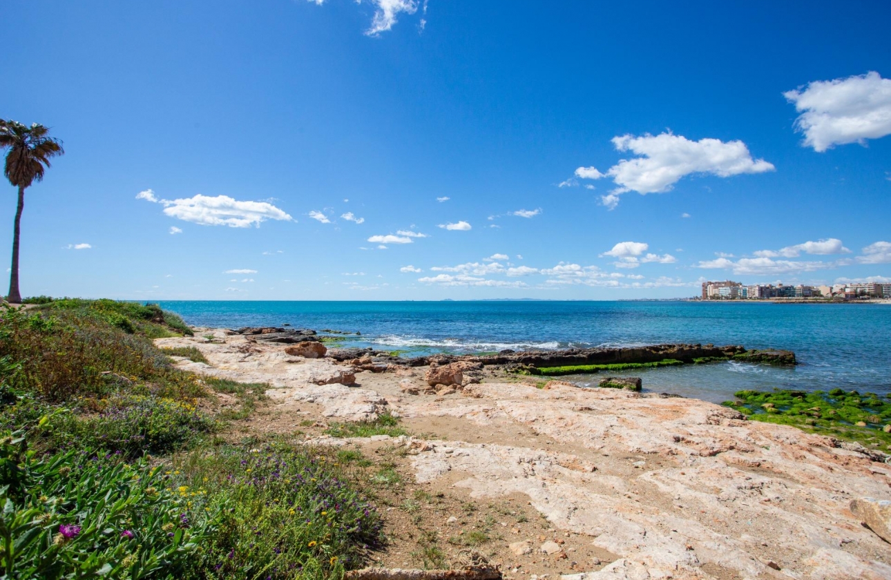 Rynek wtórny - Apartament - Torrevieja - Centro - Muelle Pesquero