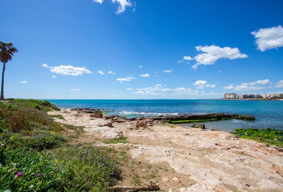 Rynek wtórny - Apartament - Torrevieja - Centro - Muelle Pesquero