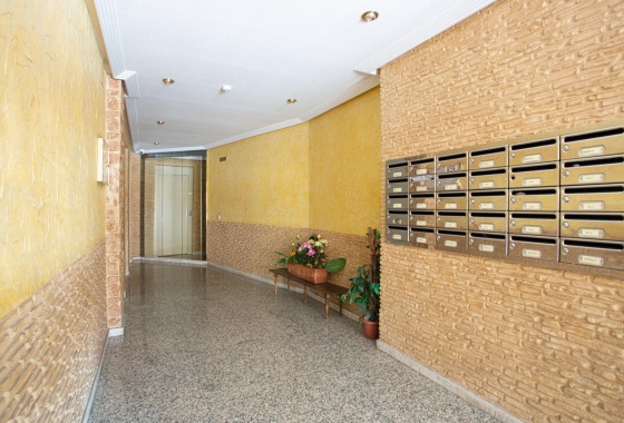 Rynek wtórny - Apartament - Torrevieja - Centro