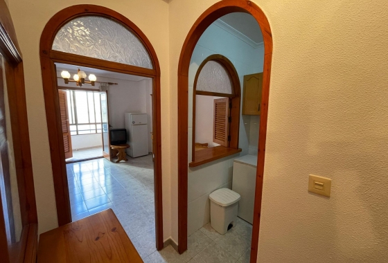 Resale - Studio - Torrevieja - Estacion de autobuses