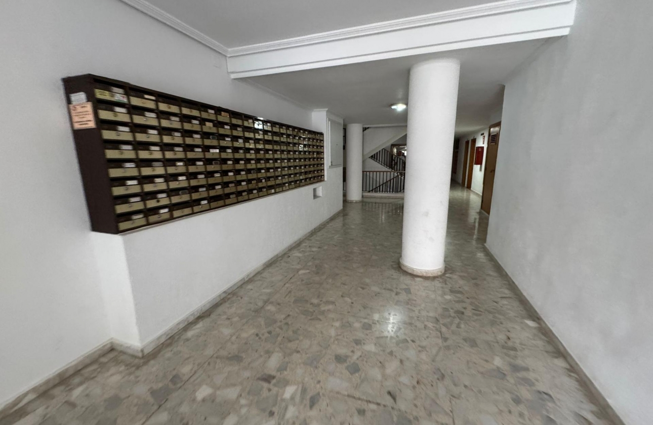 Resale - Studio - Torrevieja - Estacion de autobuses