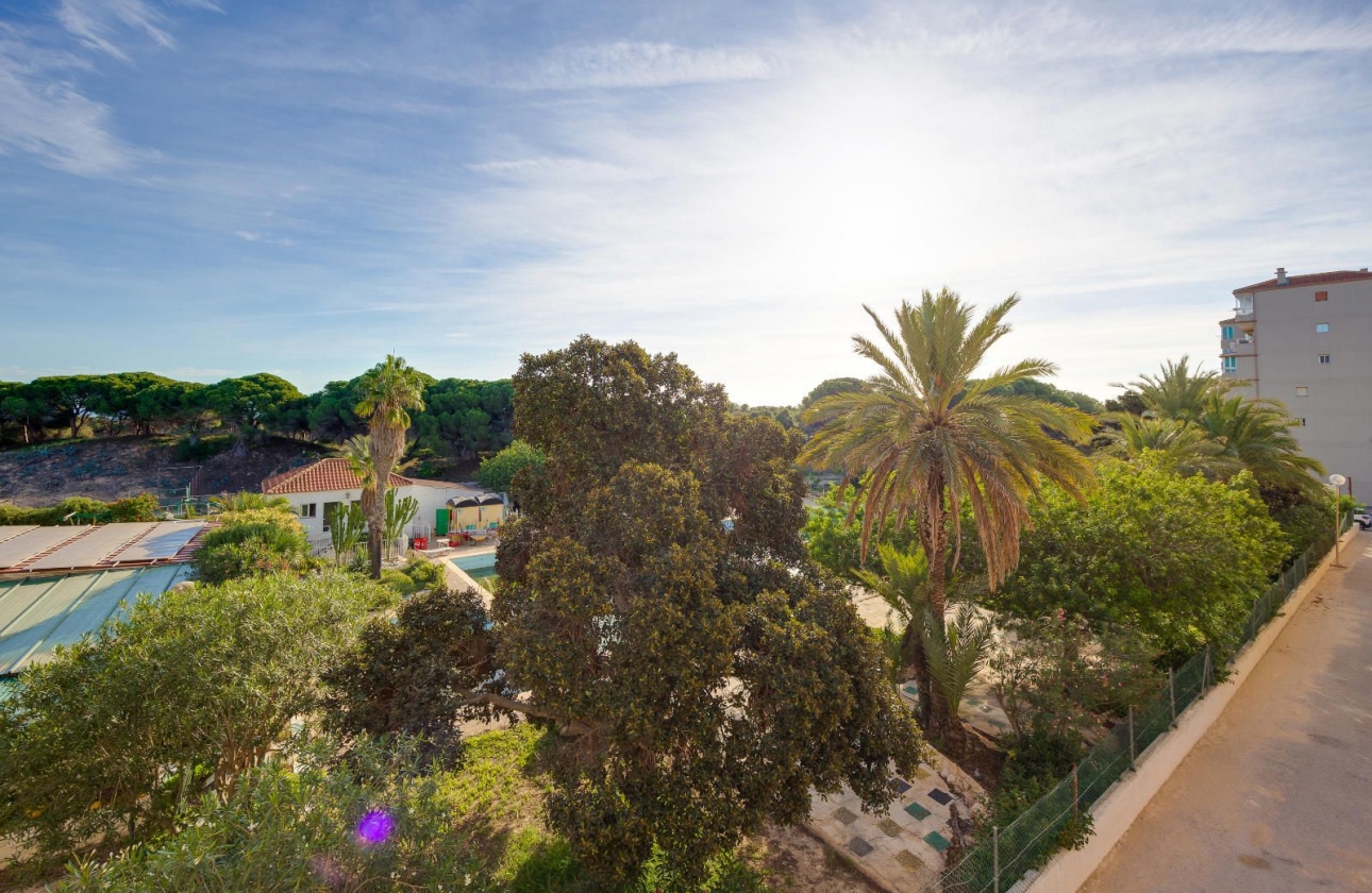 Resale - Apartment - Guardamar del Segura - Pinomar