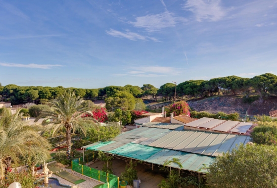 Resale - Apartment - Guardamar del Segura - Pinomar