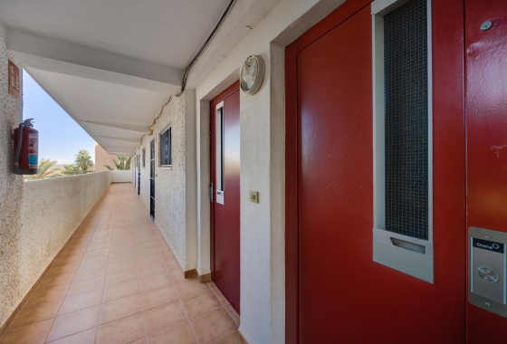 Resale - Apartment - Guardamar del Segura - Pinomar